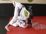 Some of the World's Best Jiu Jitsu Practitioners in Action